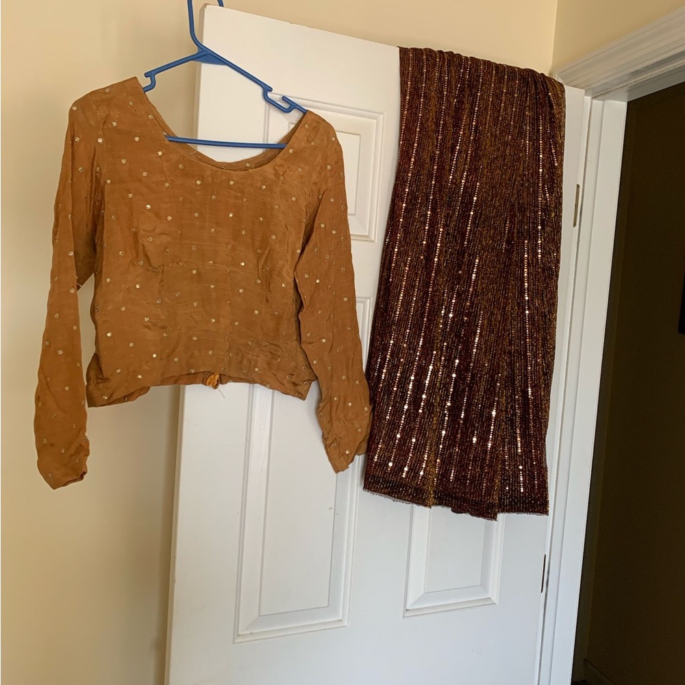 Brown Long Sleeve Top with Saree